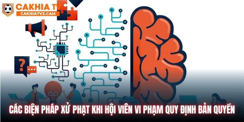 Các biện pháp xử phạt khi hội viên vi phạm quy định bản quyền