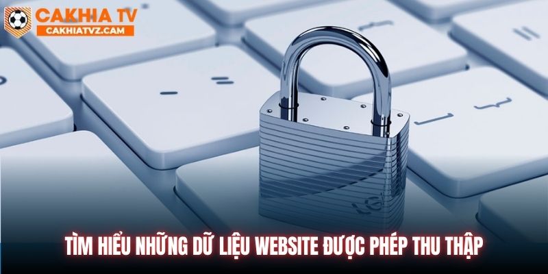 Dữ liệu website được phép thu thập trong chính sách bảo mật